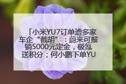 小米YU7订单遭多家车企“截胡”：蔚来可报销5000元定金，极氪送积分；何小鹏下单YU7，喊话雷军早点交付